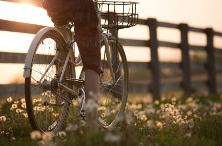Radwandern